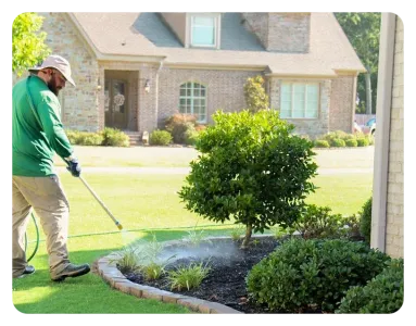 tech spraying shrubs